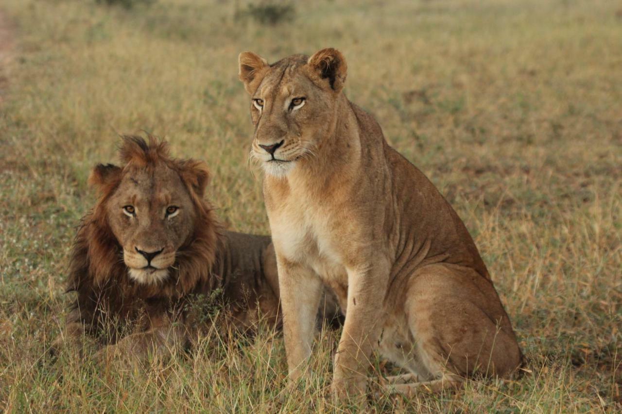 Sweni Lodge 91 Mjejane Kruger Park Hectorspruit Esterno foto